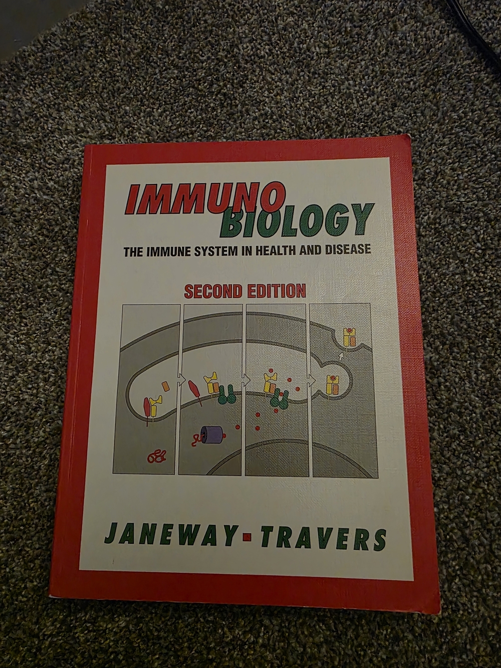 Immunobiology Janeway Travers Textbook Second Edition